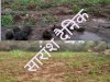 लुकुमबेडा़ पंचायत में दूसरी बार हाथियों का ताडंव 