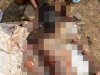 मालिक को मारकर ट्रक ले उडा़ हेल्पर गिरफ्तार 