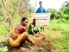 विकास फाउंडे़सन ट्रस्ट ने लगवाए 1500 पौधे