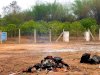 माँ हिंगुला के लिए स्थान चिन्हित 