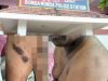 बंडा़मुंडा़ थाना प्रभारी बुलू कुमार स्वाईं पर कई गंभीर आरोप 