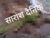 नुआगाँव प्रखंड़ में हाथी का तांडव कई घर तोड़े एक की ले ली जान 