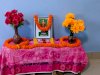 इलेक्ट्रो होमियोपैथी के जनक का 215वाॅ जन्मदिन मनाया गया 
