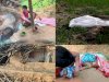 लैलूंगा वन क्षेत्र में हाथियों का आतंक  एक ही रात में तीन मौतें