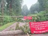 सीमावर्ती अंचलो में नक्सली बंद का व्यापक असर 
