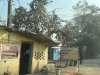 चौकी प्रभारी बनकर वसूली कर रहा है चपरासी