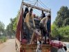 केंद्रीय नारकोटिक्स व्योरो ने 4 टन से ज्यादा पोस्ता भूसा जप्त किया