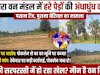 हरे भरे पेड़ों की कटाई पर उठा सवाल