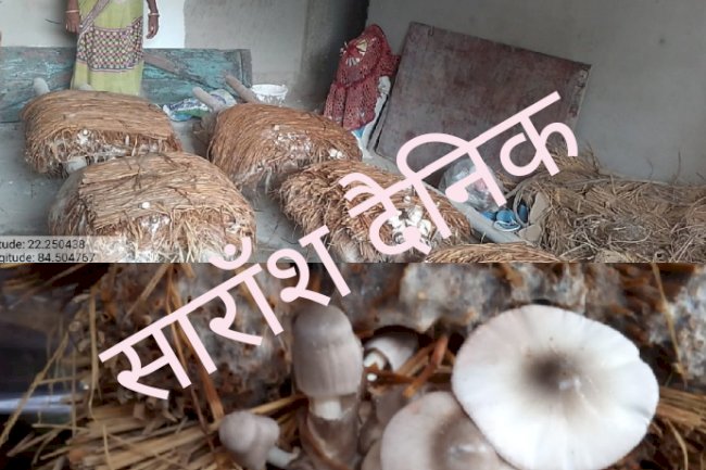 आजीविका सृजन के लिए मशरूम की खेती को बढ़ावा 