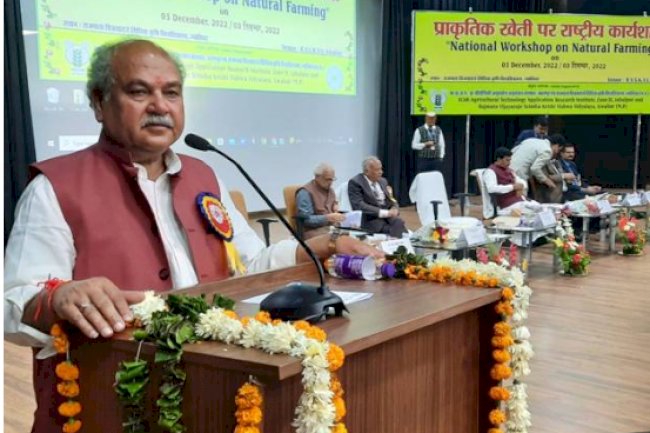 प्राकृतिक खेती में लागत कम और उपज की कीमत अधिक