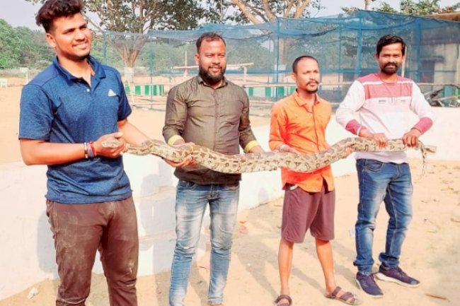 अजगर को देखने स्वयं आए उपजिलाधिकारी 