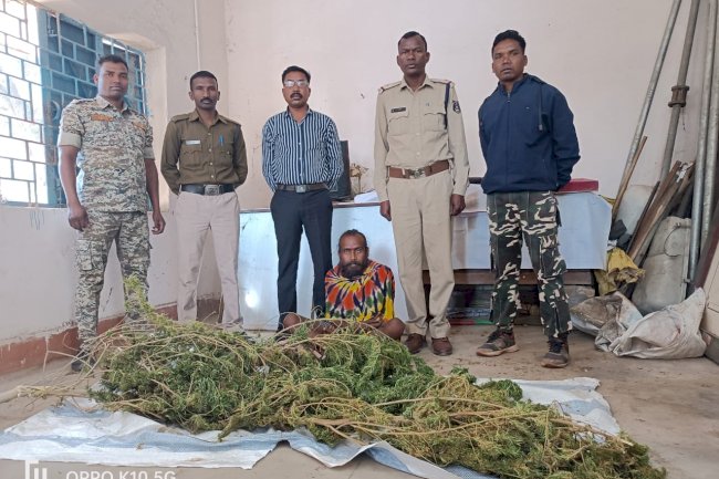 घर में लगाकर रखा था गाँजा पुलिस ने भेजा जेल 