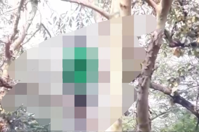 पेड़ में झूलता मिला अंजान युवक का शव 