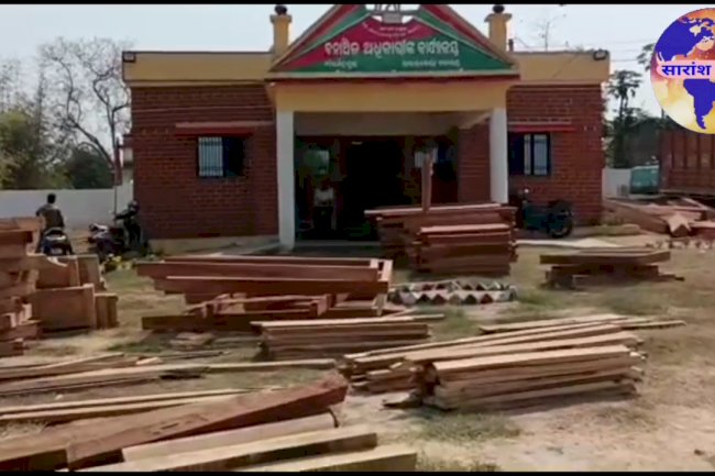 राउरकेला वन विभाग को कीमती लकडीयो का जाखिरा बरामद 