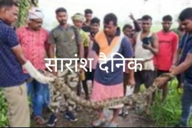 8 फीट के अजगर का बचाव किया गया 