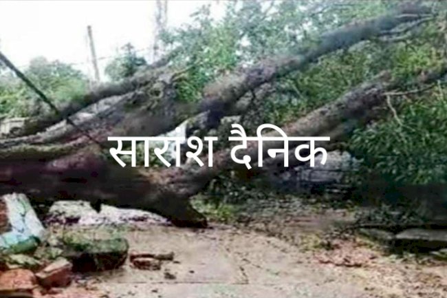 पेड़ गिरने से सड़क अवरुद्ध 