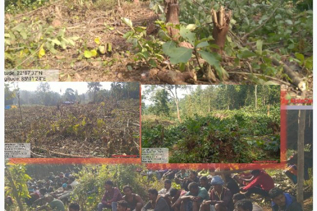 खबर का असर भू माफिया पर वन विभाग की कार्यवाही 