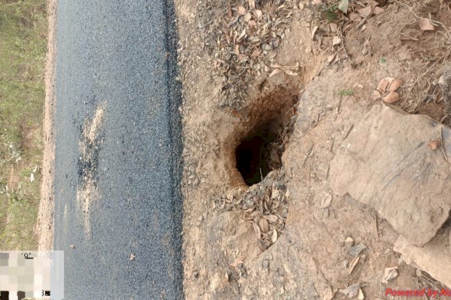 नक्सलियों के नापाक मंसूबे को सुरक्षा बलों ने किया नाकाम