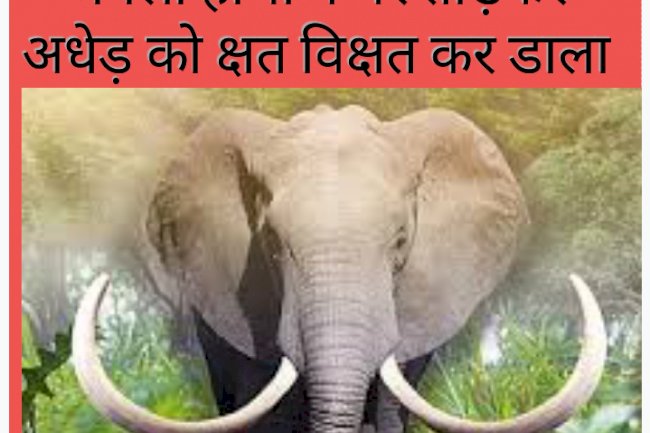 जंगली हाथी ने घर तोड़कर अधेड़ को किया क्षत विक्षत 