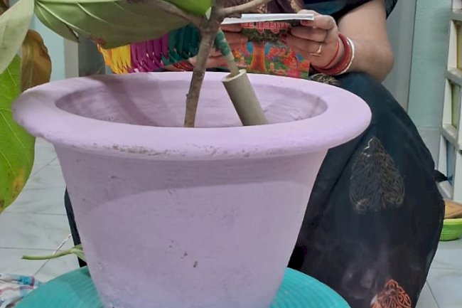 आज सुहागिन महिलाओं ने की वट सावित्री पूजा 