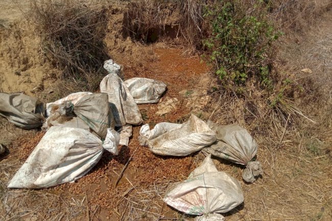 अवैध शराब पर आबकारी विभाग की कड़ी कार्यवाही 