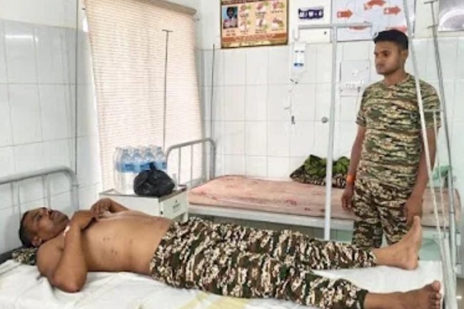 मधुमक्खी के हमले से घायल जवान आइईडी ब्लास्ट से बाल बाल बचा