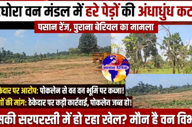 हरे भरे पेड़ों की कटाई पर उठा सवाल