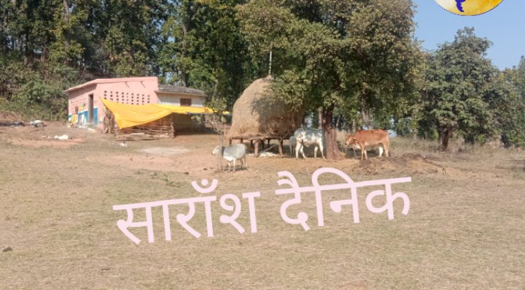 ना बिजली ना पानी फिर कैसा विकास 