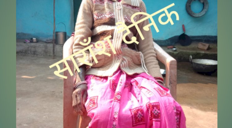 हाथी के हमले से बृद्धा घायल