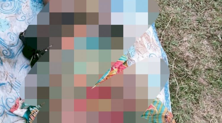 हाथी के आक्रमण से महिला की मृत्यु पति घायल 