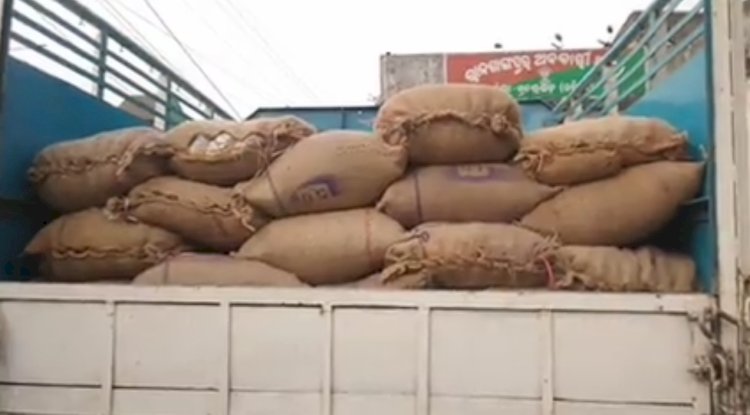 राजगांगपुर में महुआ के साथ वाहन जप्त 