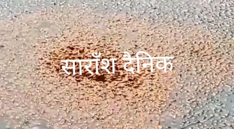 अवैध शराब निर्माण पर आबकारी विभाग की बड़ी कारवाई 
