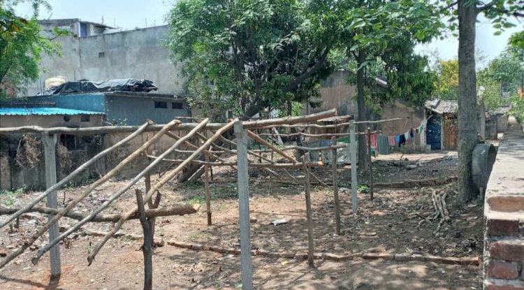 खाली पडी दैवीय जमीन पर भू माफियाओ की  टेढी नजर  