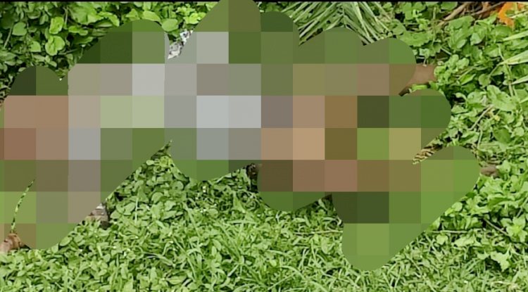 जंगली झाड़ियों के बीच से सडी़गली शव बरामद 
