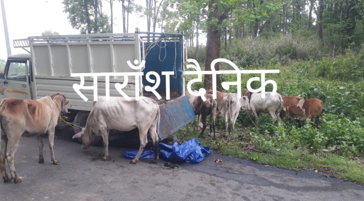 गौतस्करी कर लेजाता वाहन दुर्घटना ग्रस्त 