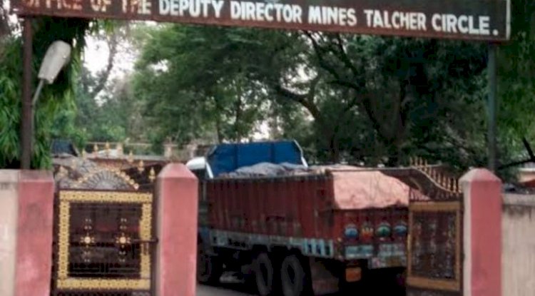 माइनिंग कार्यालय परिसर में नाग 