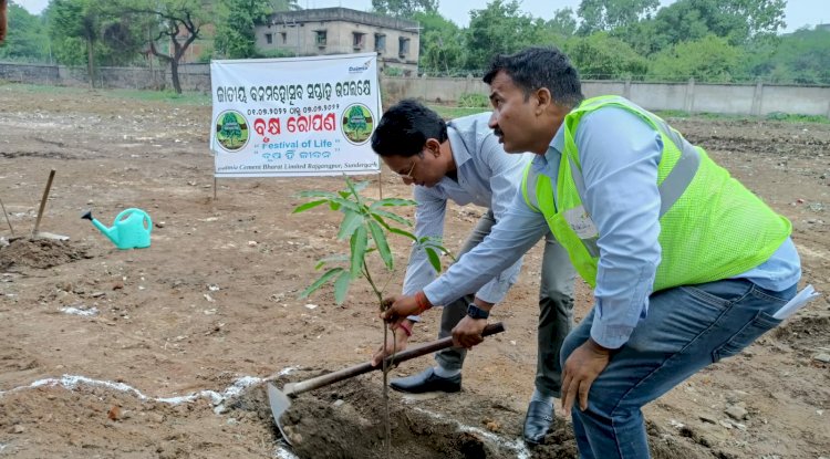 वन महोत्सव पहल लगाए 11 दिनो में 5068 पेड़
