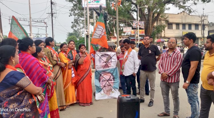 राष्ट्रपति के अपमान पर भाजपा का विरोध 