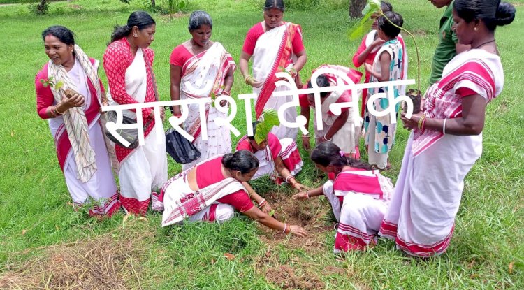 विश्व आदिवासी दिवस के उपलक्ष्य में बृक्षा रोपण किया गया