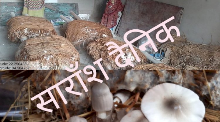 आजीविका सृजन के लिए मशरूम की खेती को बढ़ावा 