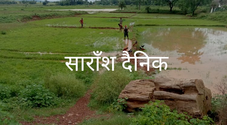 बारिश ने किसानों में जगाई आश