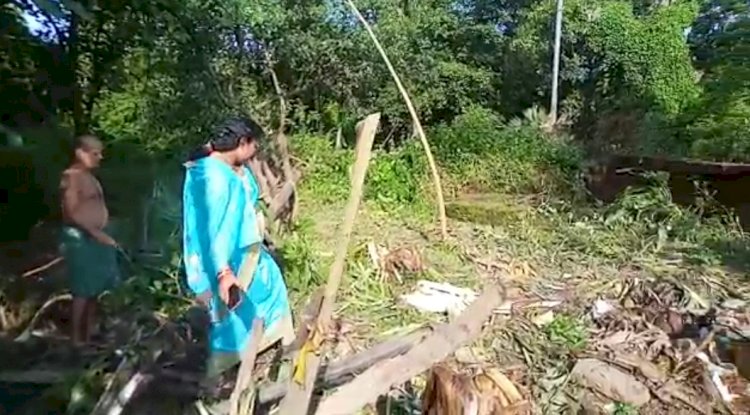 तालचेर शहर में जंगली हाथी का आतंक