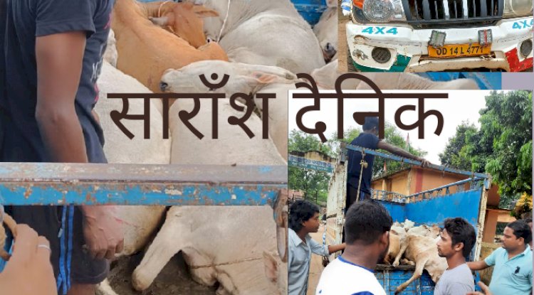 कब थमेगा गौ तस्करी 