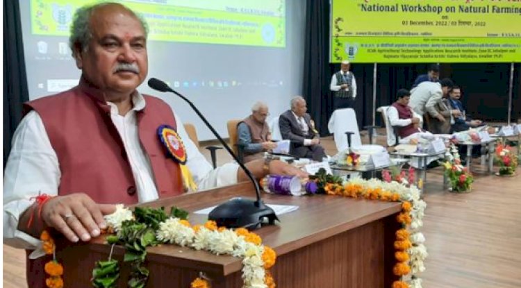 प्राकृतिक खेती में लागत कम और उपज की कीमत अधिक