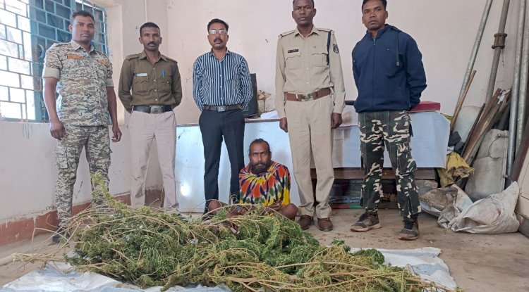 घर में लगाकर रखा था गाँजा पुलिस ने भेजा जेल 