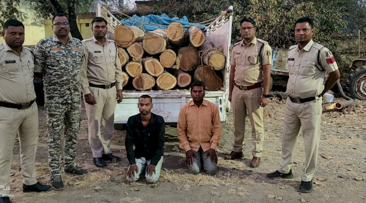 गैरकानूनी तरीके से परिवहन की जा रही सागौन की लकड़ी जब्त 