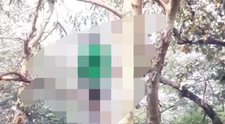 पेड़ में झूलता मिला अंजान युवक का शव 
