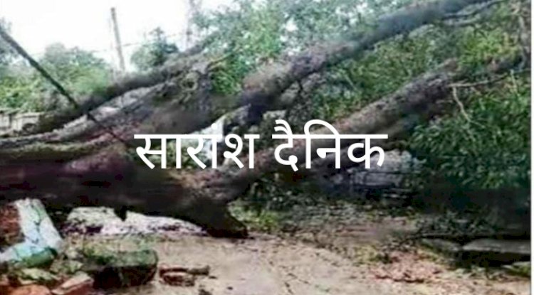 पेड़ गिरने से सड़क अवरुद्ध 