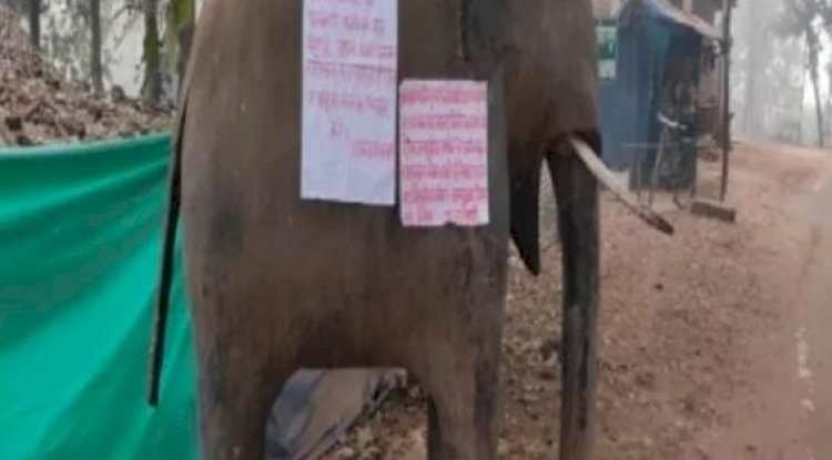 छत्तीसगढ़ के बाद झारखंड में नक्सलियों ने लगाए पोस्टर 