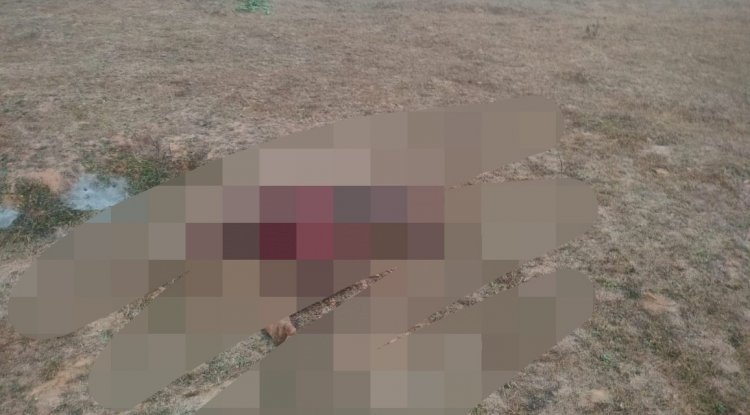 हाथीयों के हमले से अपरिचित व्यक्ति की मौत 